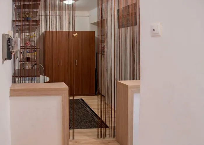 BuBu- Budapest Butterfly\'s