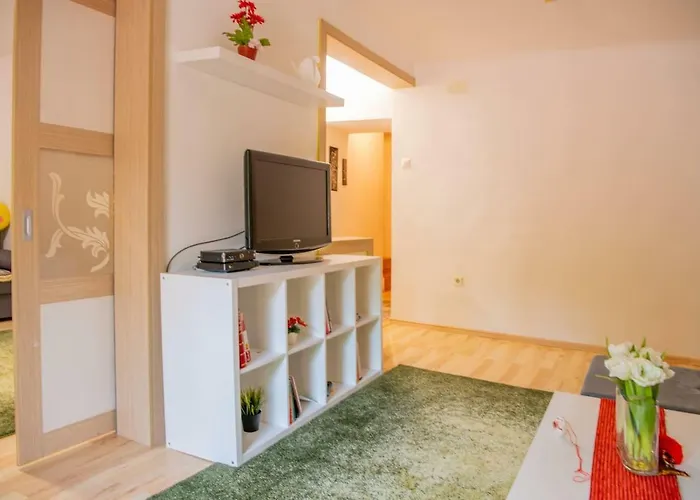 BuBu- Budapest Butterfly\'s